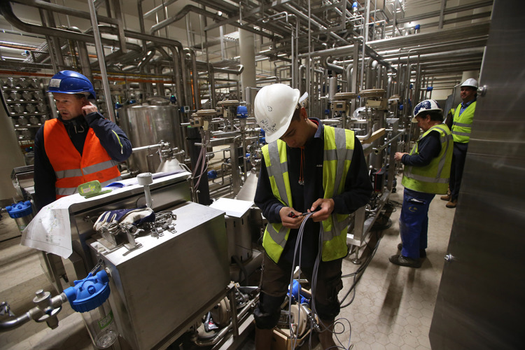 From information to insight